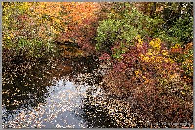 image by Kirms Photography Old Mill Stream